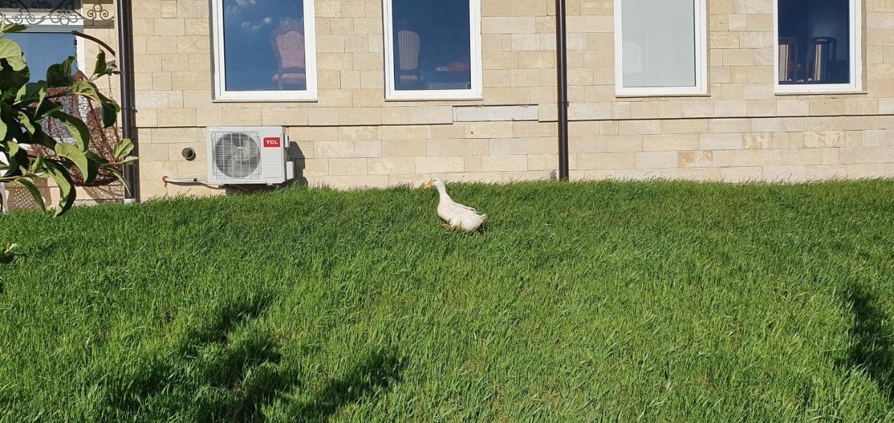 Apartmani Bojeresku Negotin Esterno foto