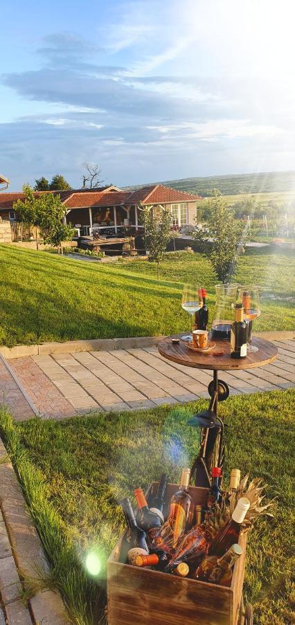 Apartmani Bojeresku Negotin Esterno foto