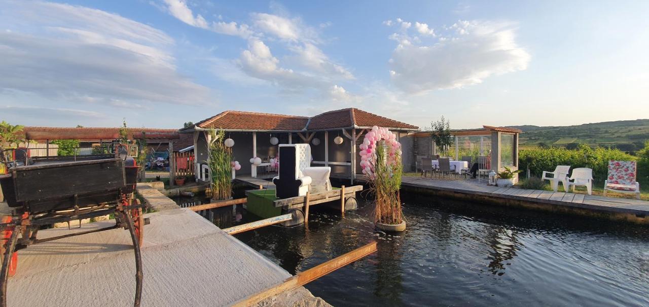 Apartmani Bojeresku Negotin Esterno foto