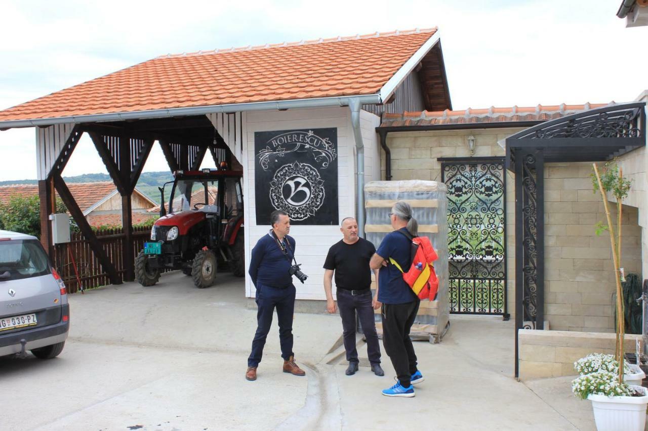 Apartmani Bojeresku Negotin Esterno foto